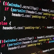 Professional Website Maintenance