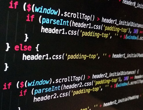 Professional Website Maintenance